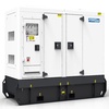 PowerLink PPL30 в кожухе с АВР производство Китай PowerLink PPL30 в кожухе с АВР производство Китай