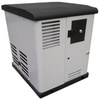 Газовый генератор REG ARCTIC GG6-230SV Газовый генератор REG ARCTIC GG6-230SV