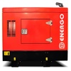 Energo ED 9/230 Y-SS с АВР производство Франция Energo ED 9/230 Y-SS с АВР производство Франция