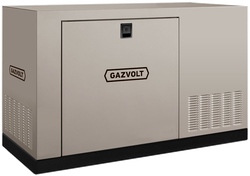 Газовый генератор Gazvolt 50T21 в кожухе