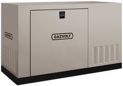 Газовый генератор Gazvolt 120T23 в кожухе с АВР